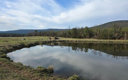 Country Acreage & Homestead – Adjoining National Forest