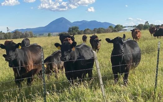 Your Own Slice of Hay-Producing Heaven