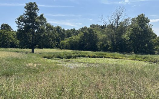 Farm For Sale In Ellington Missouri