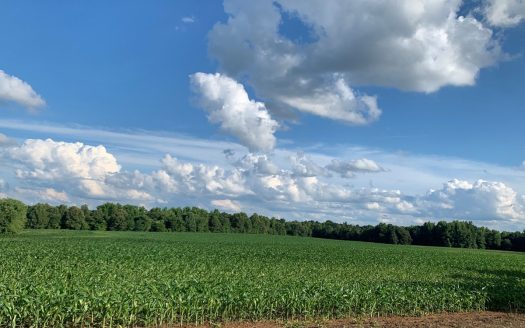 144-Acre Income-Producing Farm for Sale – Madison County, TN