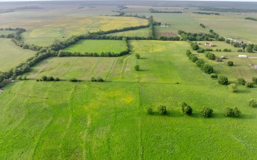 Northeast TX Pasture and Ranch Land For Sale