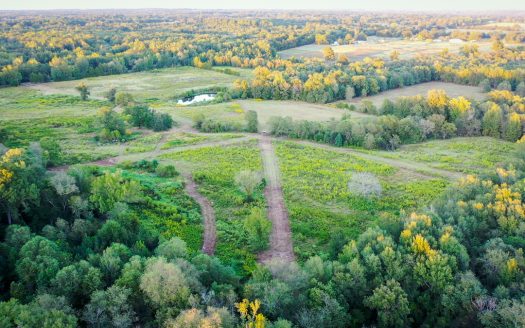 Recreational Hunting Land For Auction in Winnsboro TX
