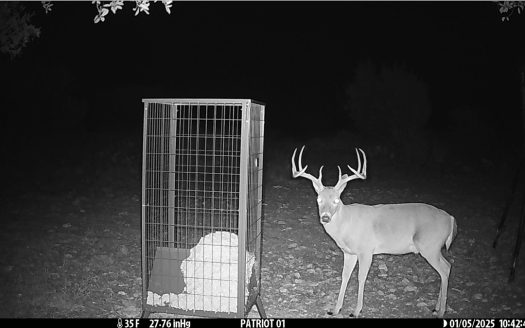 70 Acres | Schleicher County, Texas | Prime Hunting, Recreation