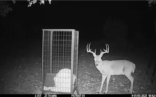 70 Acres | Schleicher County, Texas | Prime Hunting, Recreation