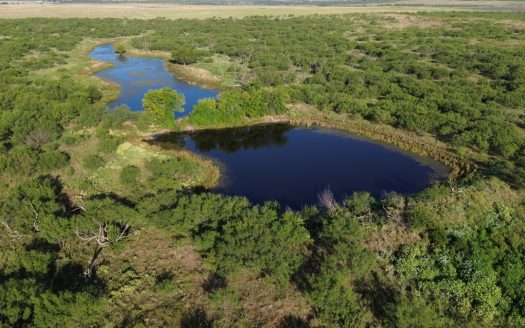 North Texas Ranch & Hunting Land for Sale with Minerals