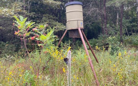 Texas hunting land with Barndominium shop for sale