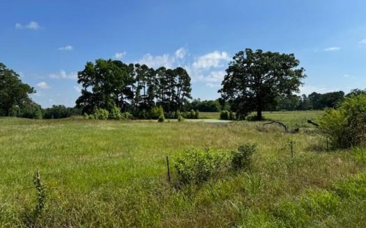 Equine Property Located in Morris County Texas