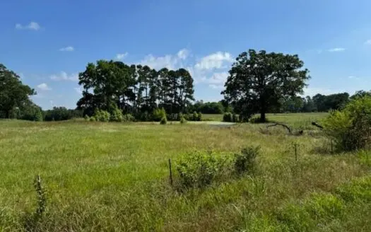 Equine Property Located in Morris County Texas
