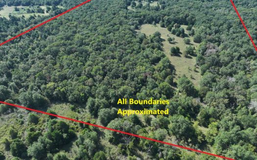 Unrestricted 57 Acres on CR 935 – Build, Hunt, or Ranch