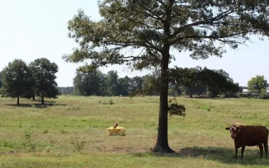 Miller County, Arkansas Ranch Land For Sale