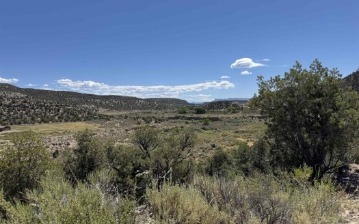 11 Acres for Sale in McElmo Canyon, CO – No HOA, No Covenants