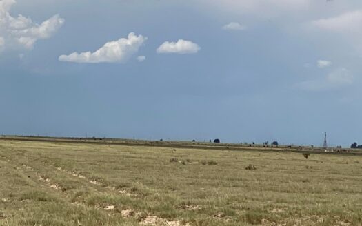 Expansive 540-Acre Grazing Land in Torrance County