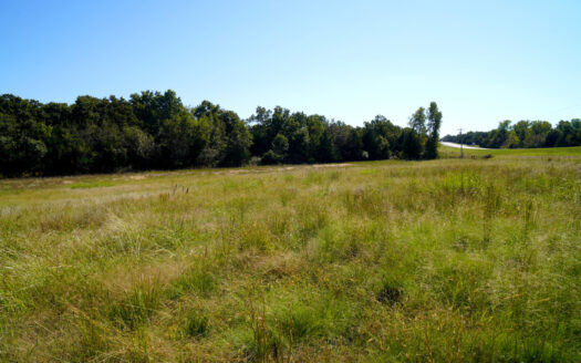 NO RESERVE AUCTION – Prime Oklahoma Ranch Land on HWY 177 Tr 2