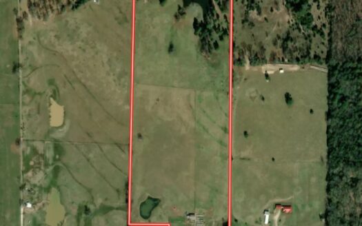 Home Land For Sale Mount Pleasant Titus County Texas Hunting