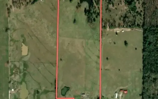 Home Land For Sale Mount Pleasant Titus County Texas Hunting