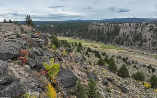 Eastern Oregon Cricket Creek Acres