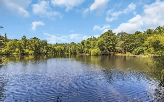 East Texas Recreational Land for Sale