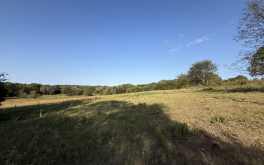 East Texas Land for Sale Fruitvale TX Van Zandt County Hunt Ranch