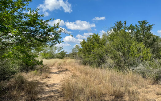71.43± acres of native brushland, Live Oak County