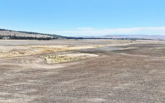 160 Acres of Prime Goldendale Land with Mountain Views