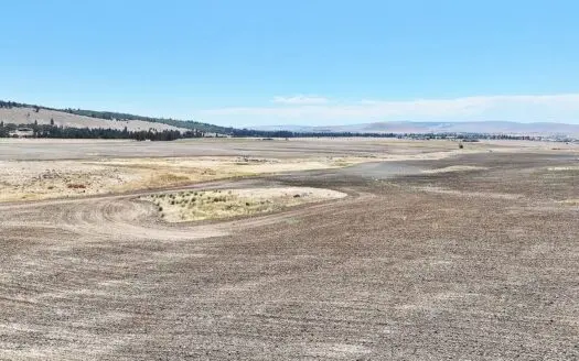 160 Acres of Prime Goldendale Land with Mountain Views