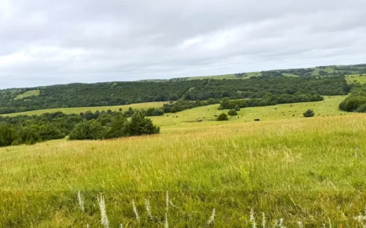 Custer County Nebraska Pasture for Sale