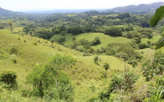 Large farm for sale in Costa Rica by broker Michael Krieg
