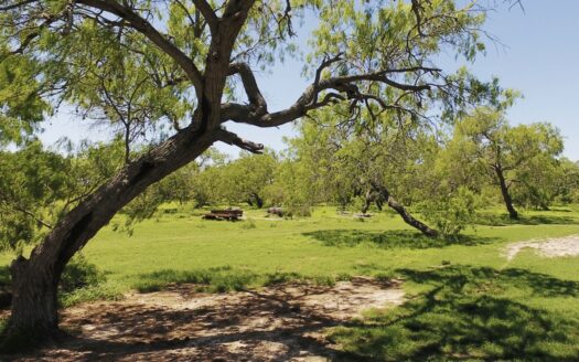 870± Acres Bordering King Ranch – Prime Kleberg County Land