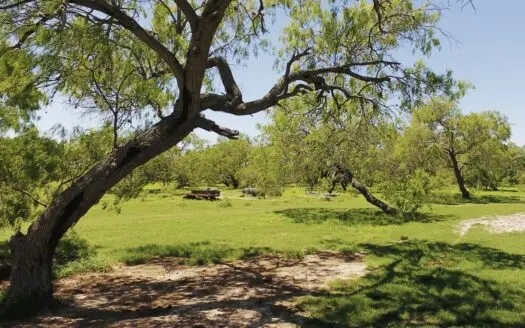 870± Acres Bordering King Ranch – Prime Kleberg County Land