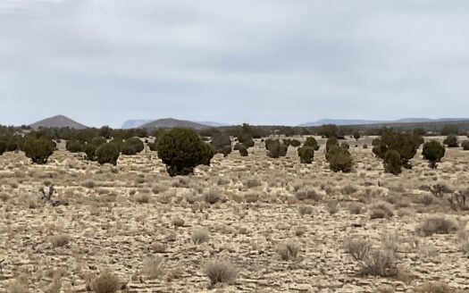 Arizona Ranch Land For Sale Near Route 66
