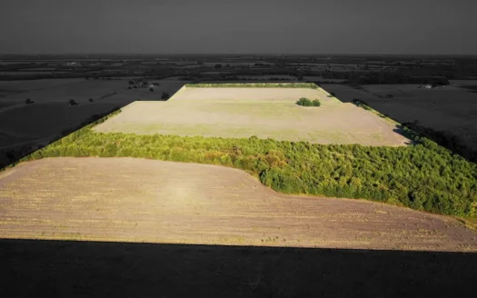 Pasture and Ranch Land For Sale Roxton TX