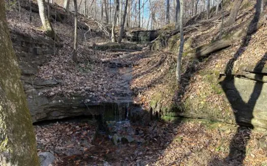 Land for Sale in Wayne County, Tennessee