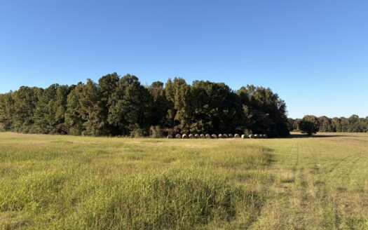 Prime 79 Acres in Fouke, AR – Build, Farm, or Hunt Near Texarkana