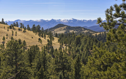 41 Acres in Cotopaxi CO with Well & 360° Mountain Views