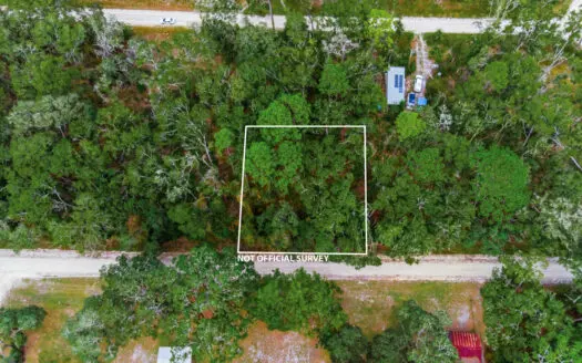 .23 Acres of Vacant Land For Sale in Old Town, Florida!