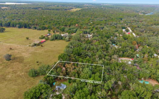 0.95 Acres Vacant Land For Sale in Old Town, Florida!