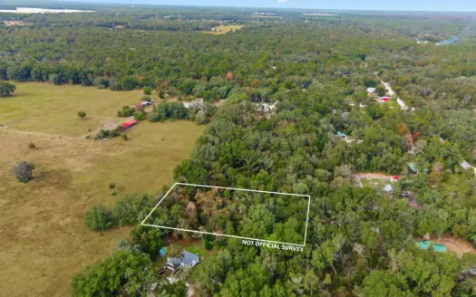 0.95 Acres Vacant Land For Sale in Old Town, Florida!