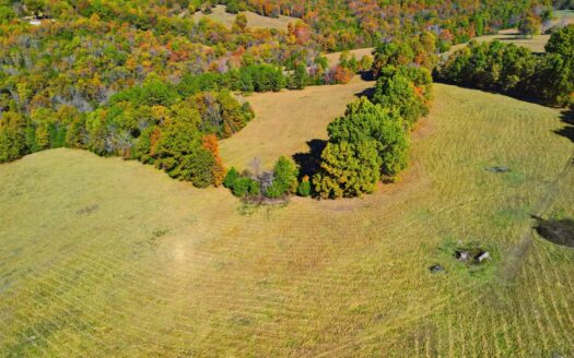 230 Acres – Ozark Hunting & Cattle Land Near Twin Lakes