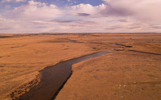 Northern Plains Farm & Ranch | 2,193± Acres | Daniels County, Mon