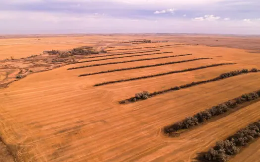 Prairie Pheasant Farm | Froid, MT