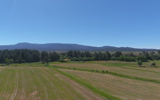 152+/- Acre Irrigated Hay Farm/Ranch For Sale Near Chama NM