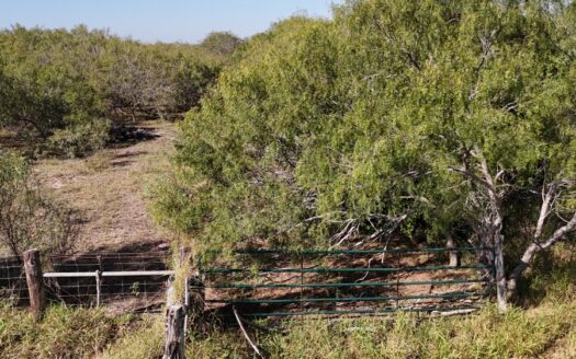 +/- 25 Acres South of Kingsville, Texas