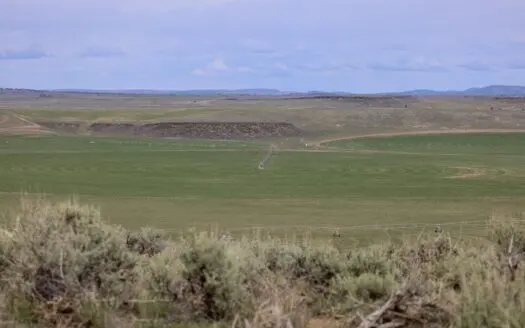 Eastern Oregon Silver Sage Farm