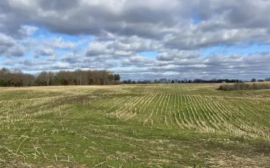 88.78 Acres for sale near Bowling Green, Ky