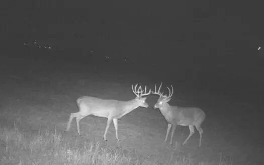 Hunting Ranch, Cattle Ranch North Texas