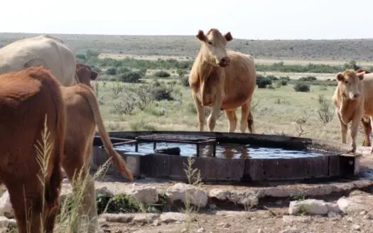 Ranch For Sale in Southeastern NM