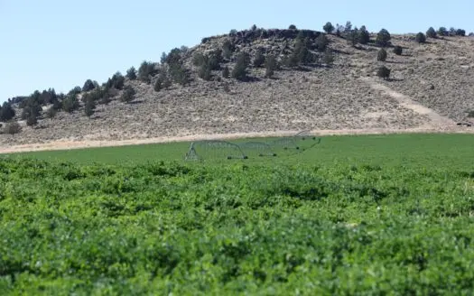 Eastern Oregon Wrights Farm South of Burns