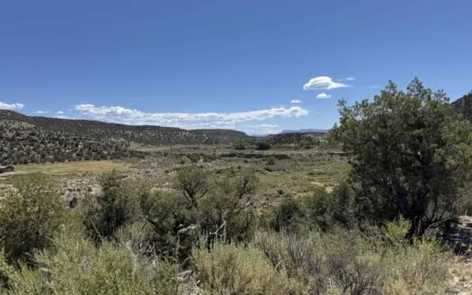 11 Acres for Sale in McElmo Canyon, CO – No HOA, No Covenants