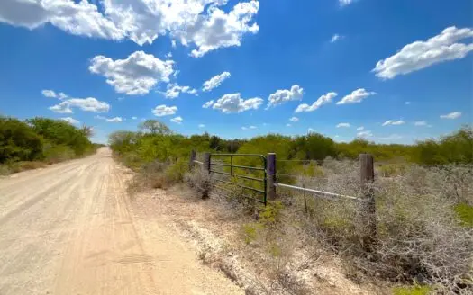 12 Acres – Prime Hunting land outside of San Diego, TX