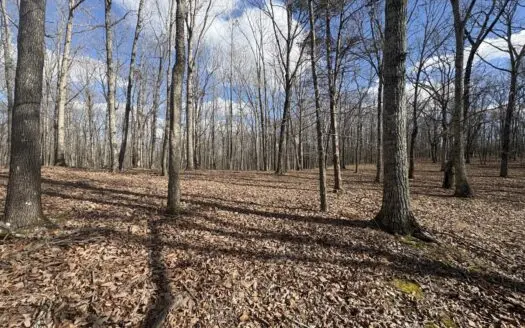 Land for Sale in Humphreys County, Tennessee